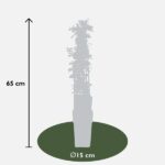 Pyracantha 'Orange Glow' - ↨65cm - Ø15 - Image 5