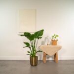 Strelitzia Nicolai - Ø19cm - ↕90cm + Pot Mayk Gold - Image 2