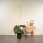 Alocasia Wentii - Ø19cm - ↕65cm + Pot Mayk Lead - Image 2