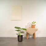 Alocasia Macrorrhiza - Ø19cm - ↕70cm + Pot Mayk Lead - Image 2