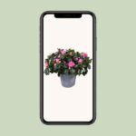 Azalee Rosa Vogel - Ø14cm - ↕30cm - Image 4