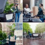 Sanseviera im Zylinderglas - Ø12cm - ↕30cm - Image 6