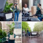 Calathea Warscewiczii - Pfauenpflanze - 70cm - Ø19 - Image 7